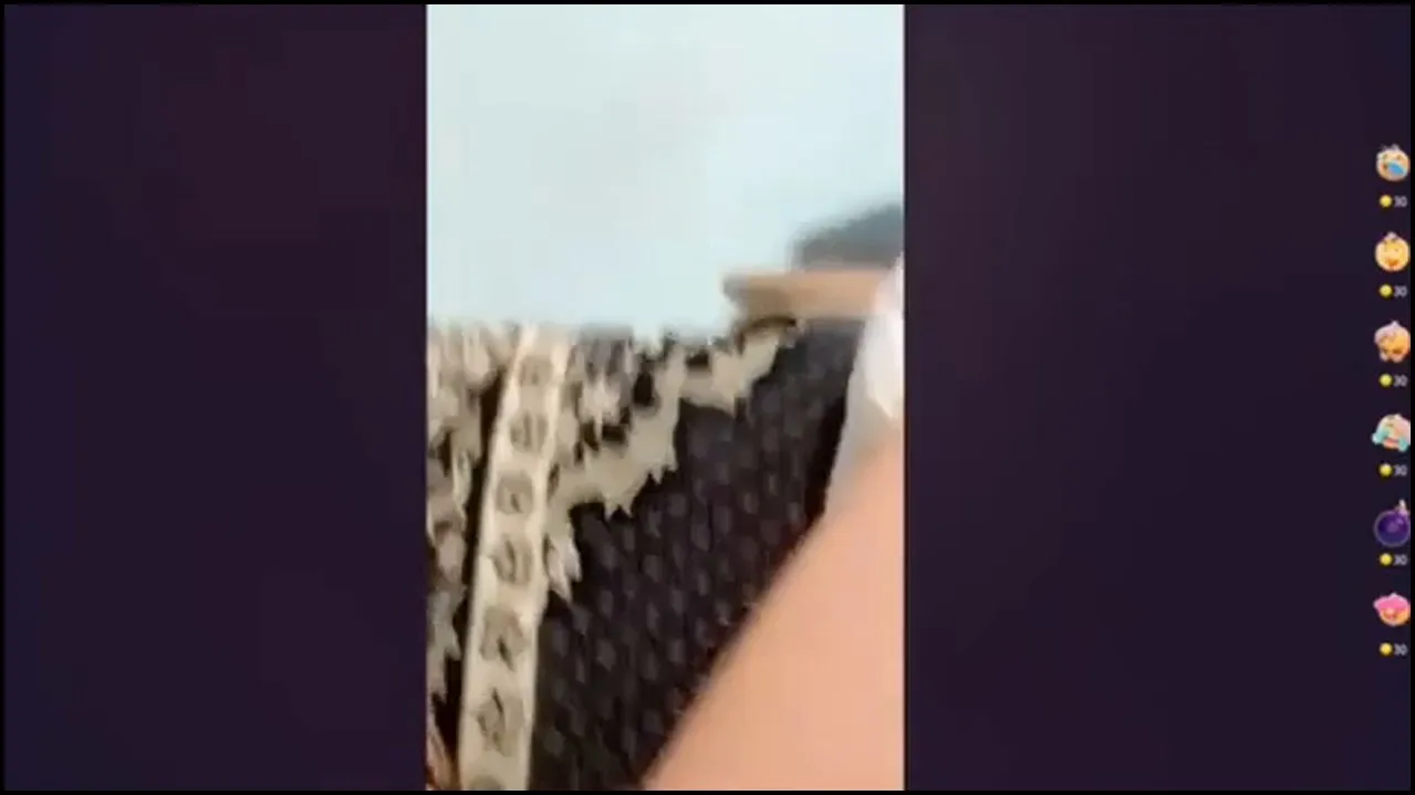 Livu Türk Trol Video Serisi Part 49 - Video İzle Resmi